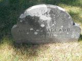 image of grave number 244572